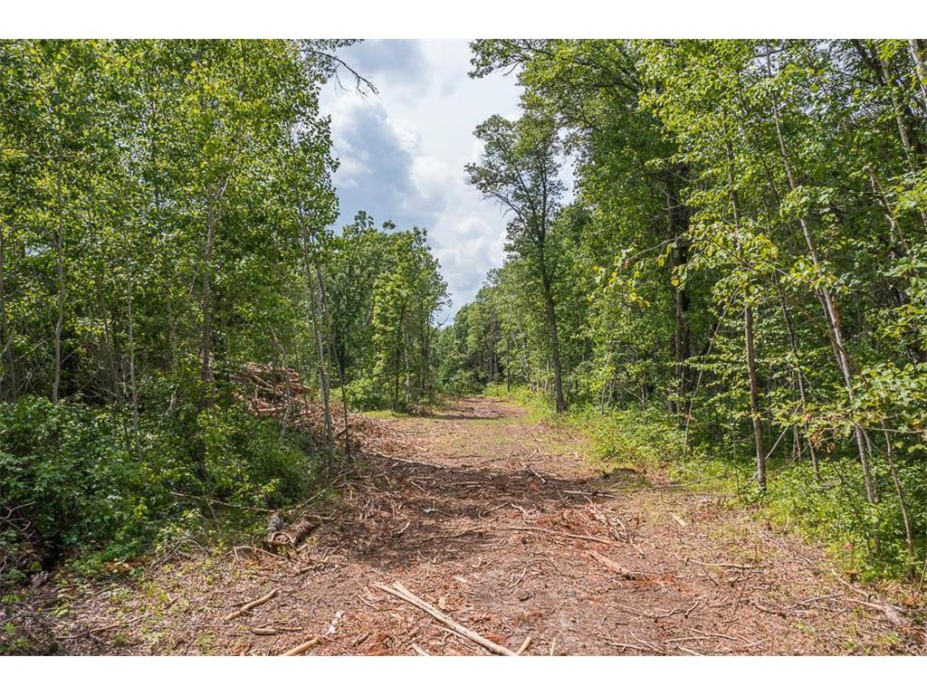 Tract C Tract C-Polaris Mission Twp MN 56465 6652847 image22