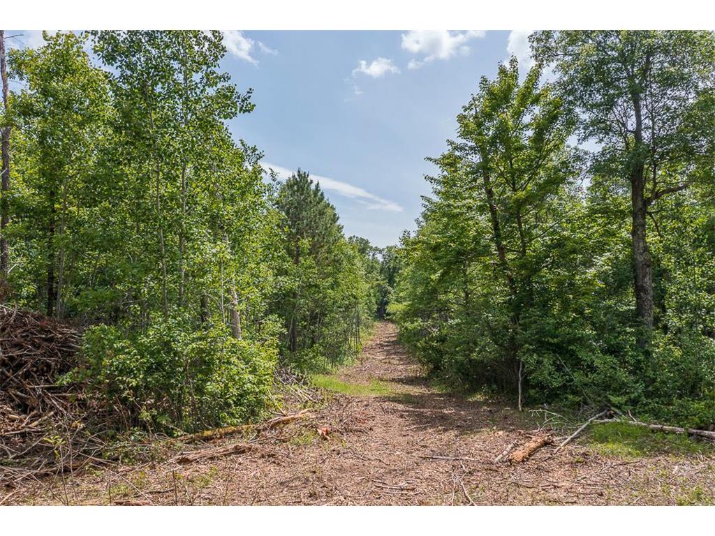 Tract C Tract C-Polaris Mission Twp MN 56465 6652847 image23