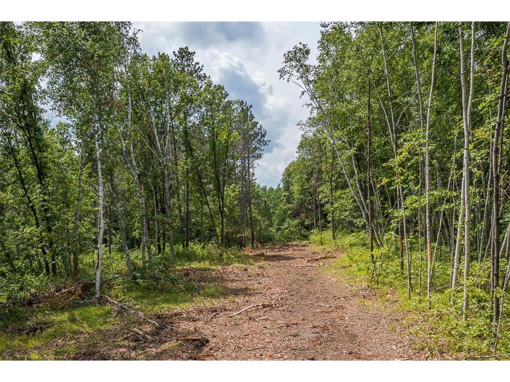 Tract C Tract C-Polaris Mission Twp MN 56465 6652847 image25