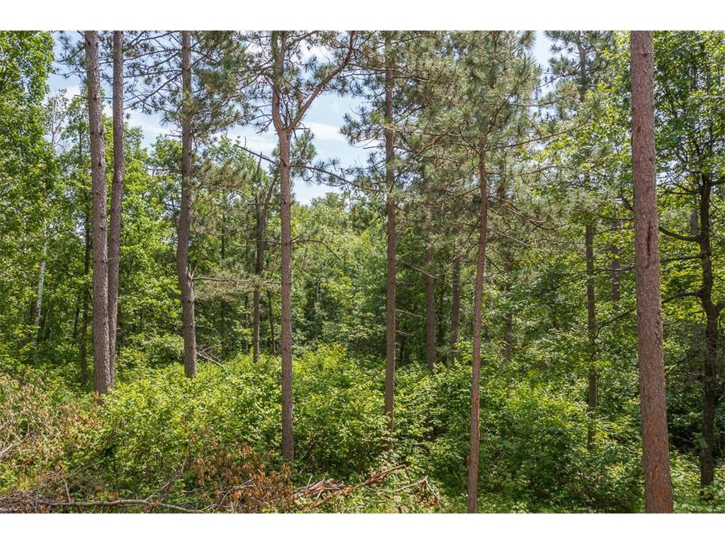 Tract C Tract C-Polaris Mission Twp MN 56465 6652847 image27