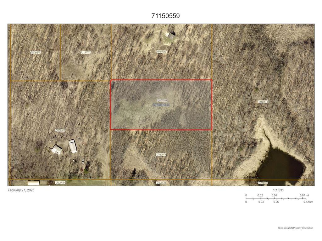 Tract D County Road 12 Ironton MN 56455 6677368 image1