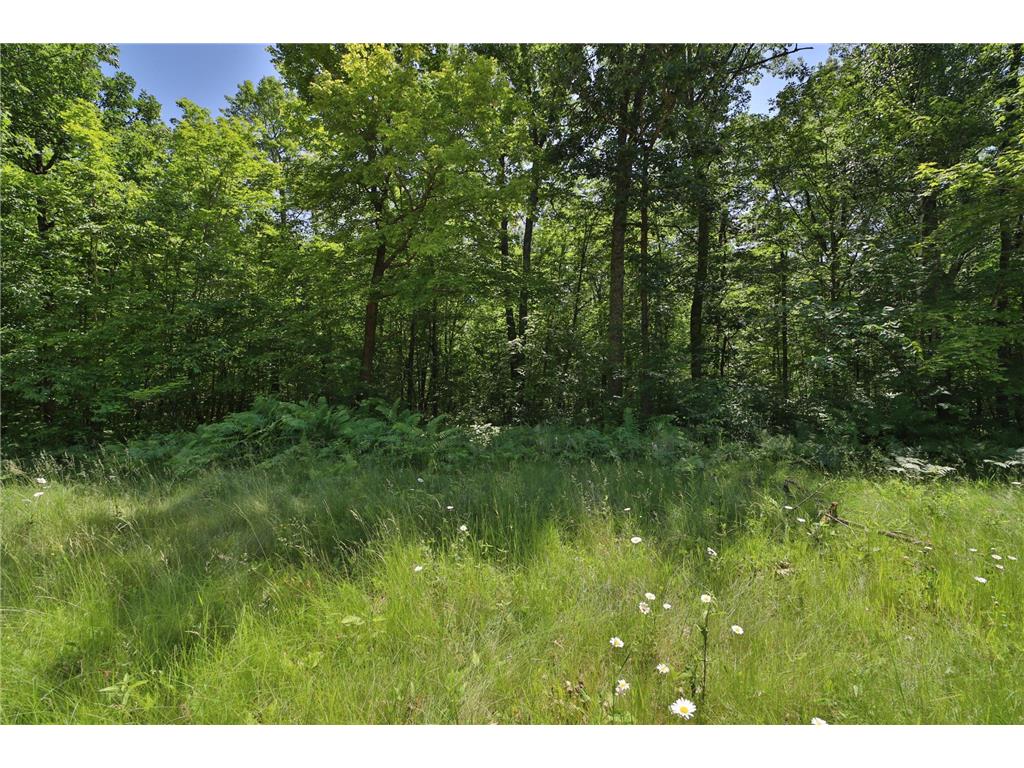 Tract D Olander Road Crosby MN 56441 7052528 image1