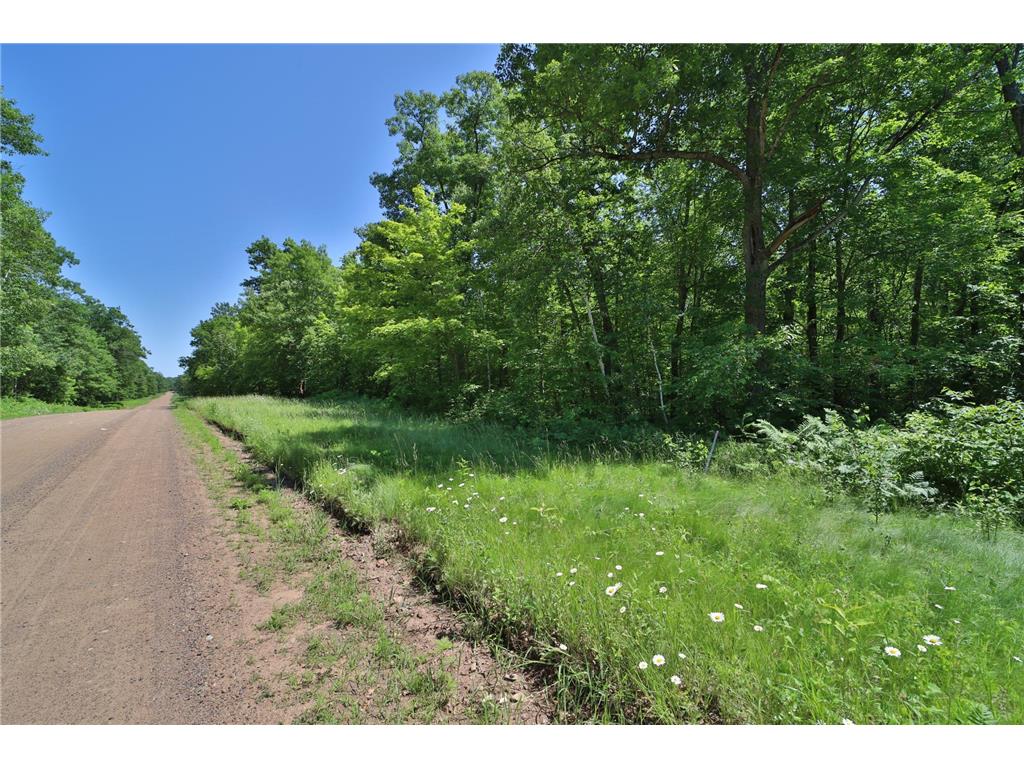 Tract D Olander Road Crosby MN 56441 7052528 image2