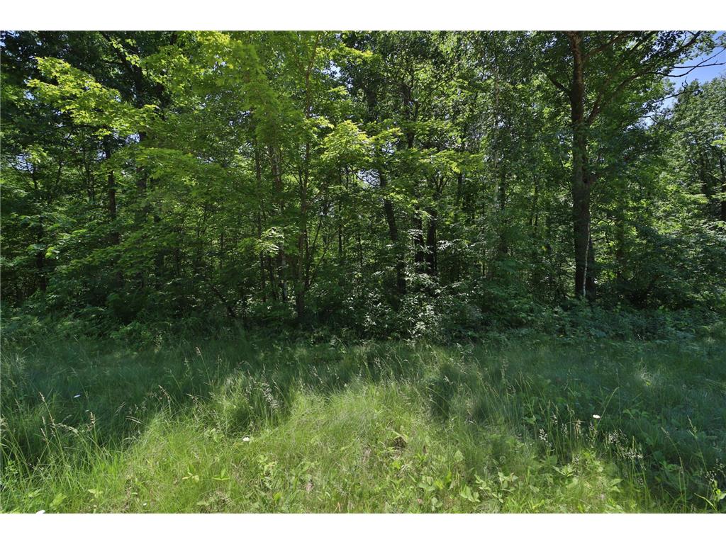 Tract D Olander Road Crosby MN 56441 7052528 image3
