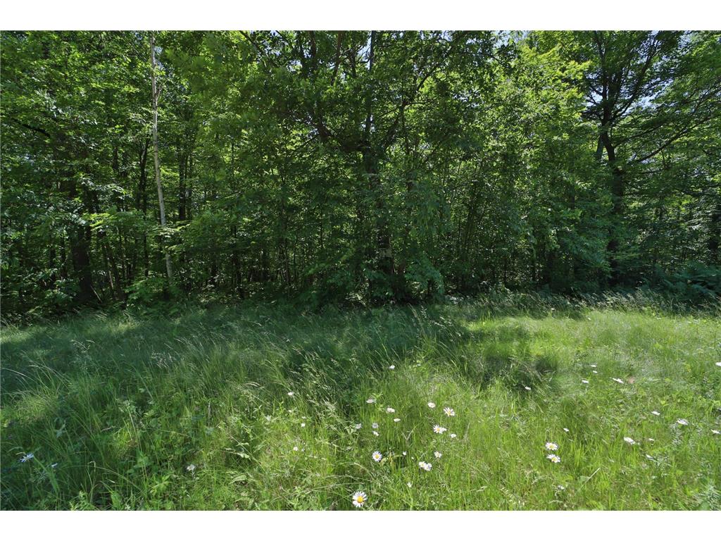 Tract D Olander Road Crosby MN 56441 7052528 image5