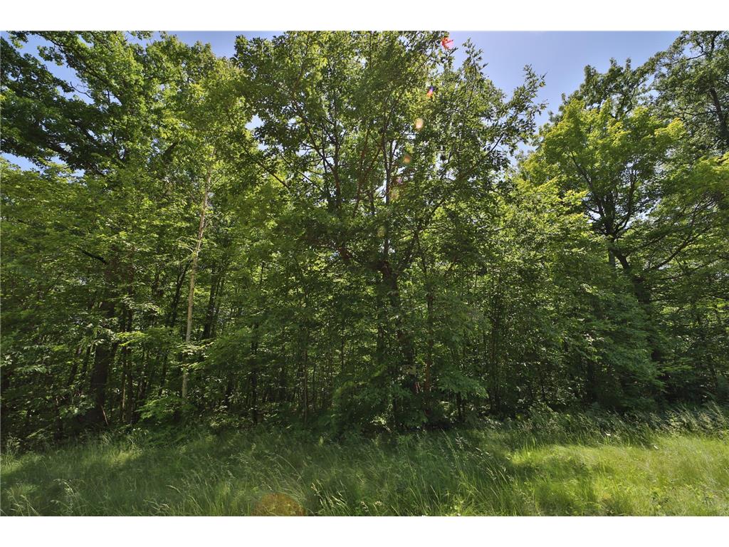 Tract D Olander Road Crosby MN 56441 7052528 image6