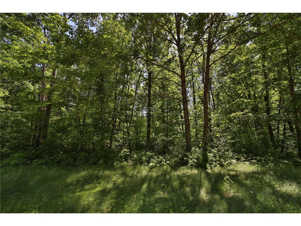 Tract D Olander Road Crosby MN 56441 7052528 image8