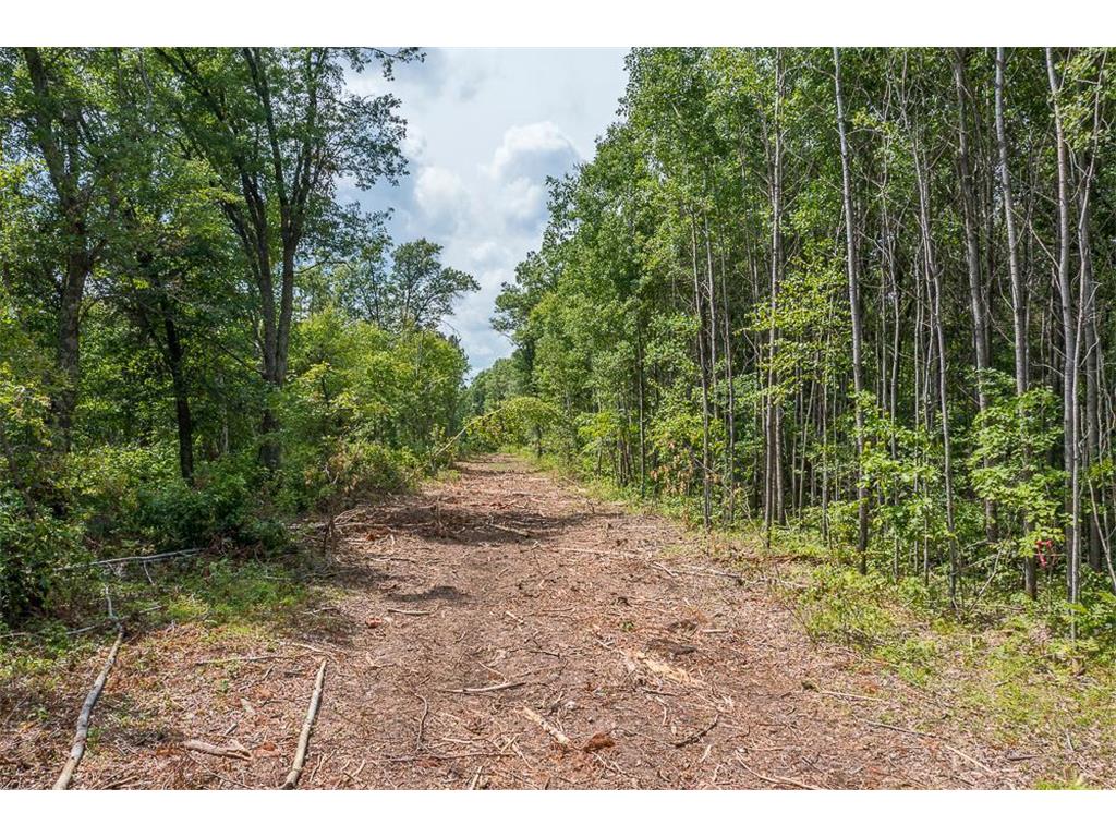 Tract D Polaris Mission Twp MN 56465 6652828 image22