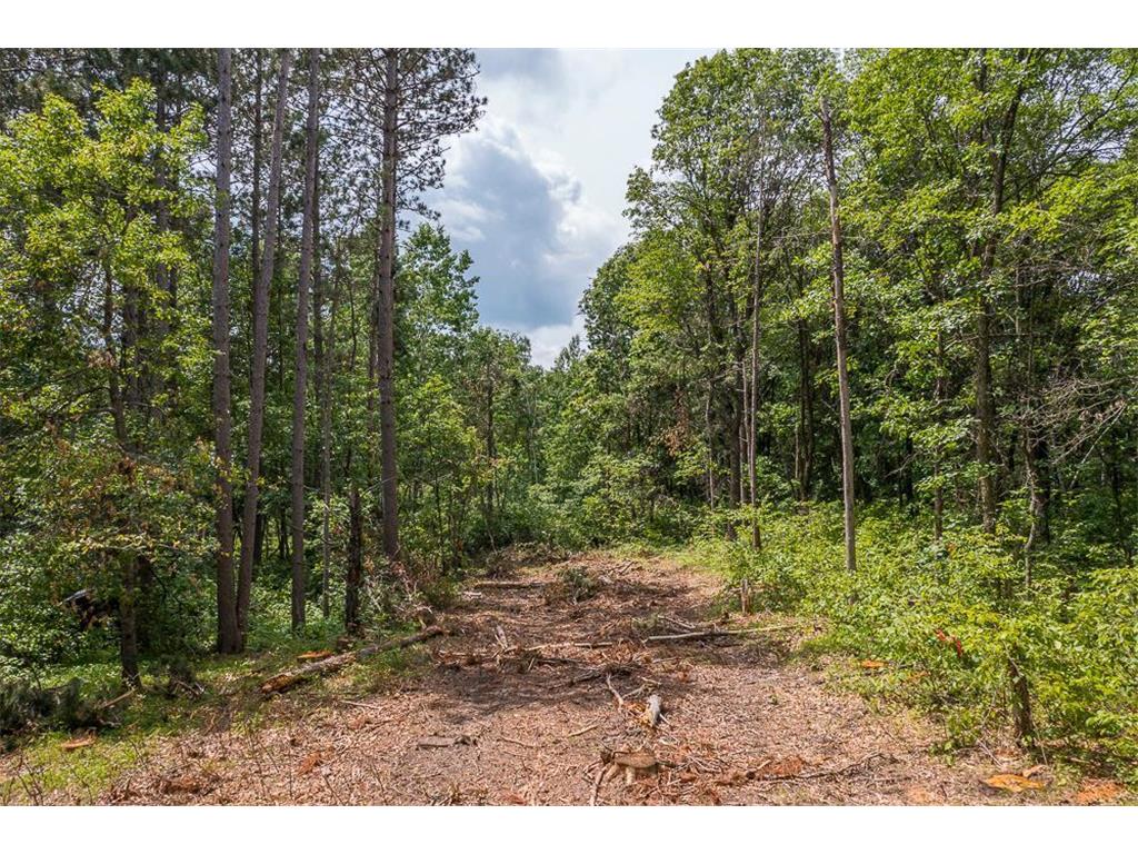 Tract D Polaris Mission Twp MN 56465 6652828 image27