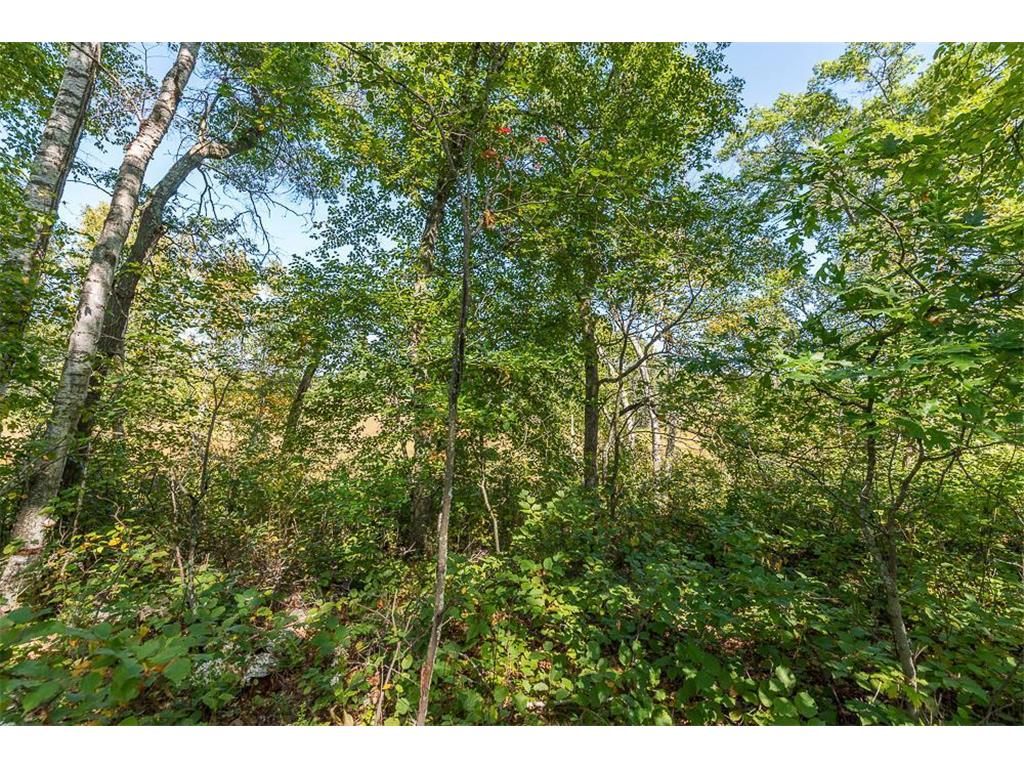 Tract D TBD Little Pine Road Sylvan Twp MN 56401 6804252 image12