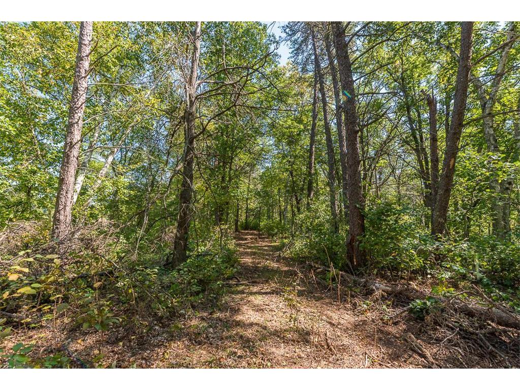 Tract D TBD Little Pine Road Sylvan Twp MN 56401 6804252 image13