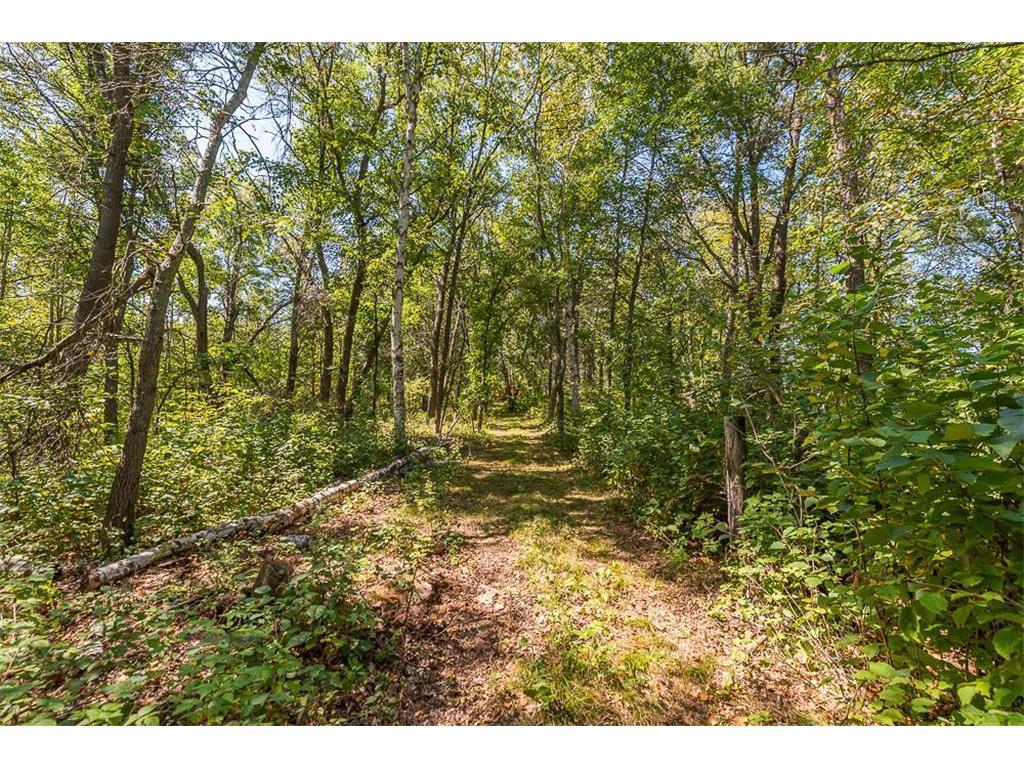 Tract D TBD Little Pine Road Sylvan Twp MN 56401 6804252 image14