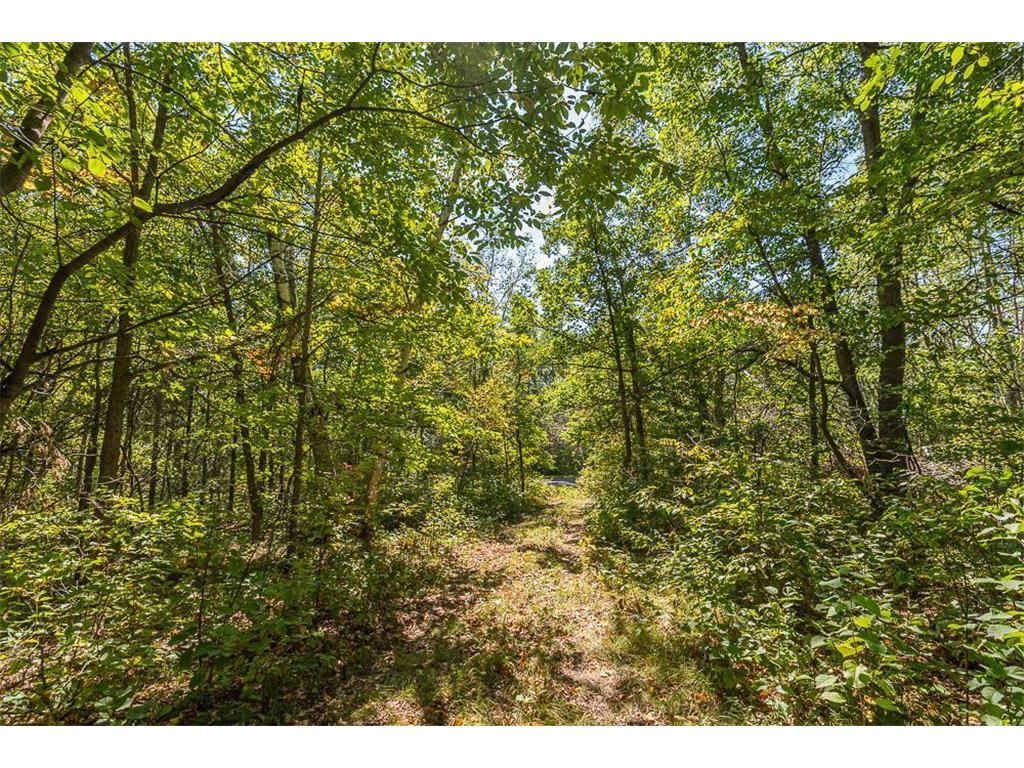 Tract D TBD Little Pine Road Sylvan Twp MN 56401 6804252 image15