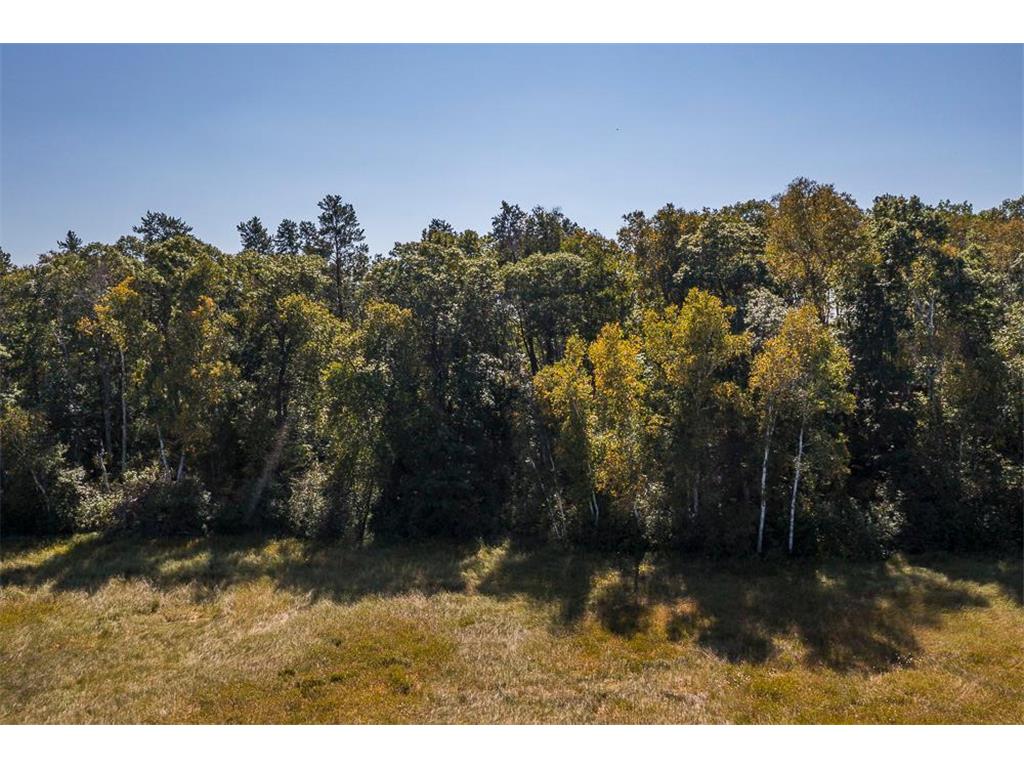 Tract D TBD Little Pine Road Sylvan Twp MN 56401 6804252 image22