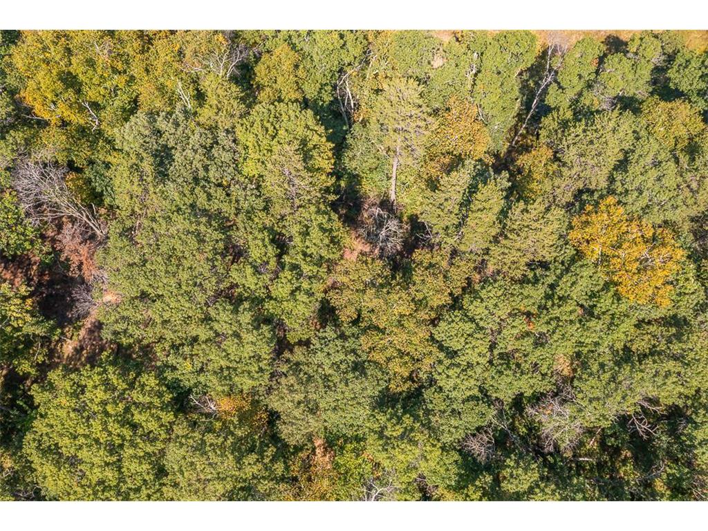 Tract D TBD Little Pine Road Sylvan Twp MN 56401 6804252 image27