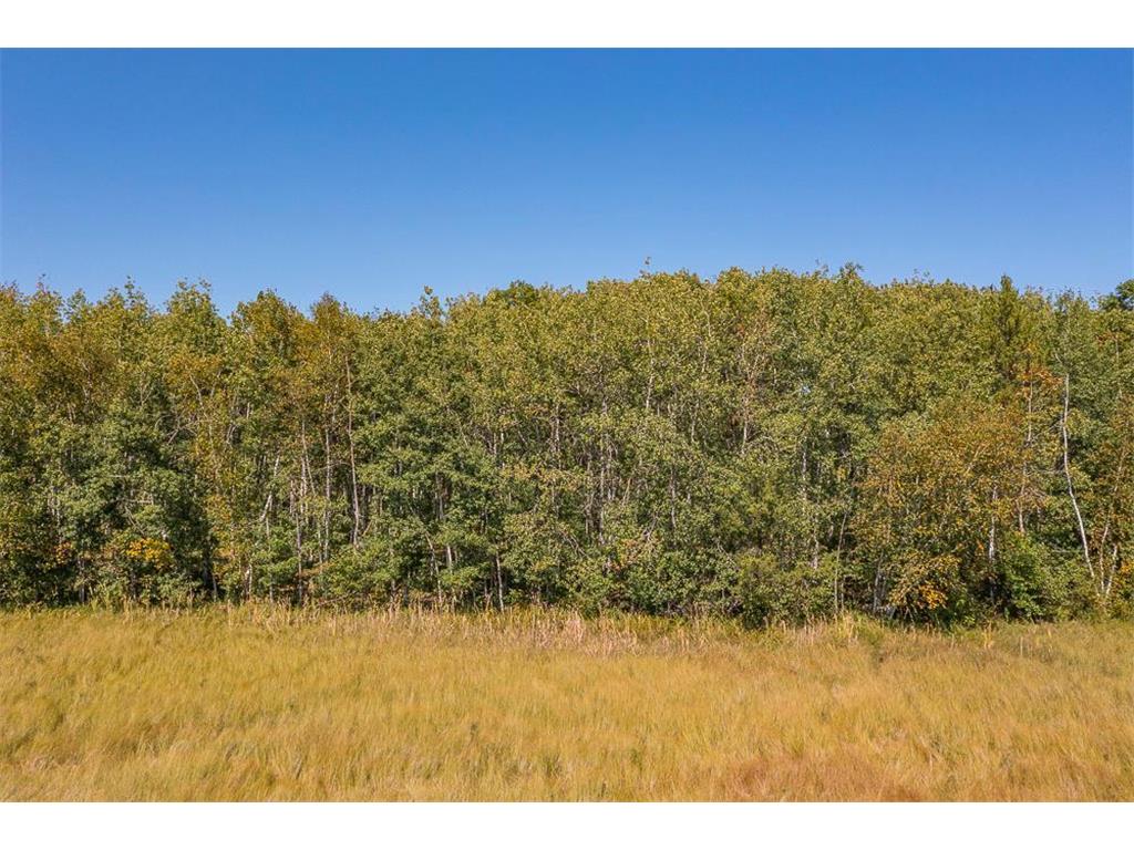 Tract D TBD Little Pine Road Sylvan Twp MN 56401 6804252 image3