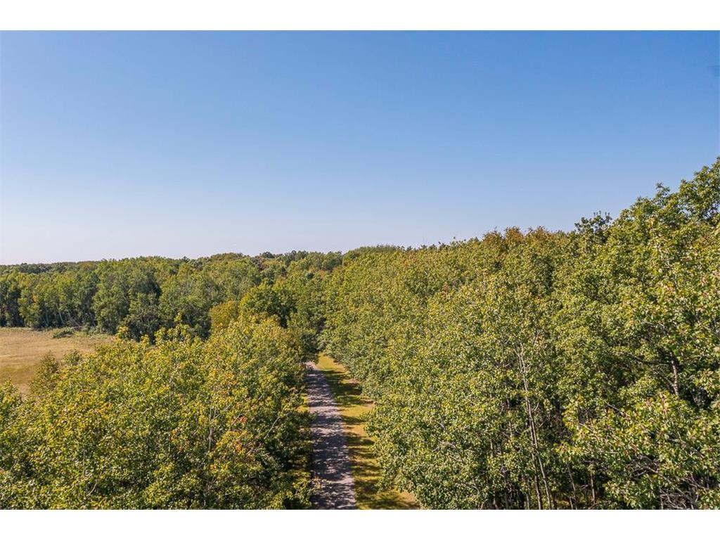 Tract D TBD Little Pine Road Sylvan Twp MN 56401 6804252 image6