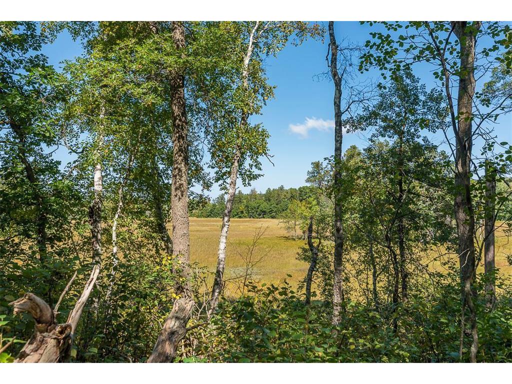 Tract D TBD Little Pine Road Sylvan Twp MN 56401 7057471 image1