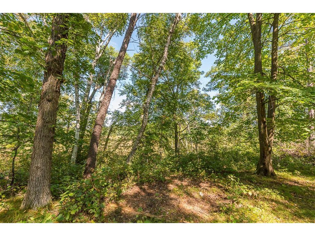Tract D TBD Little Pine Road Sylvan Twp MN 56401 7057471 image10