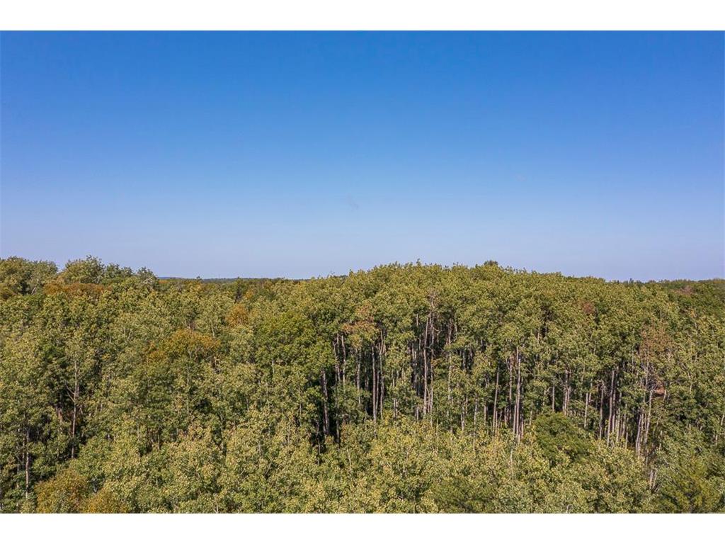 Tract D TBD Little Pine Road Sylvan Twp MN 56401 7057471 image18