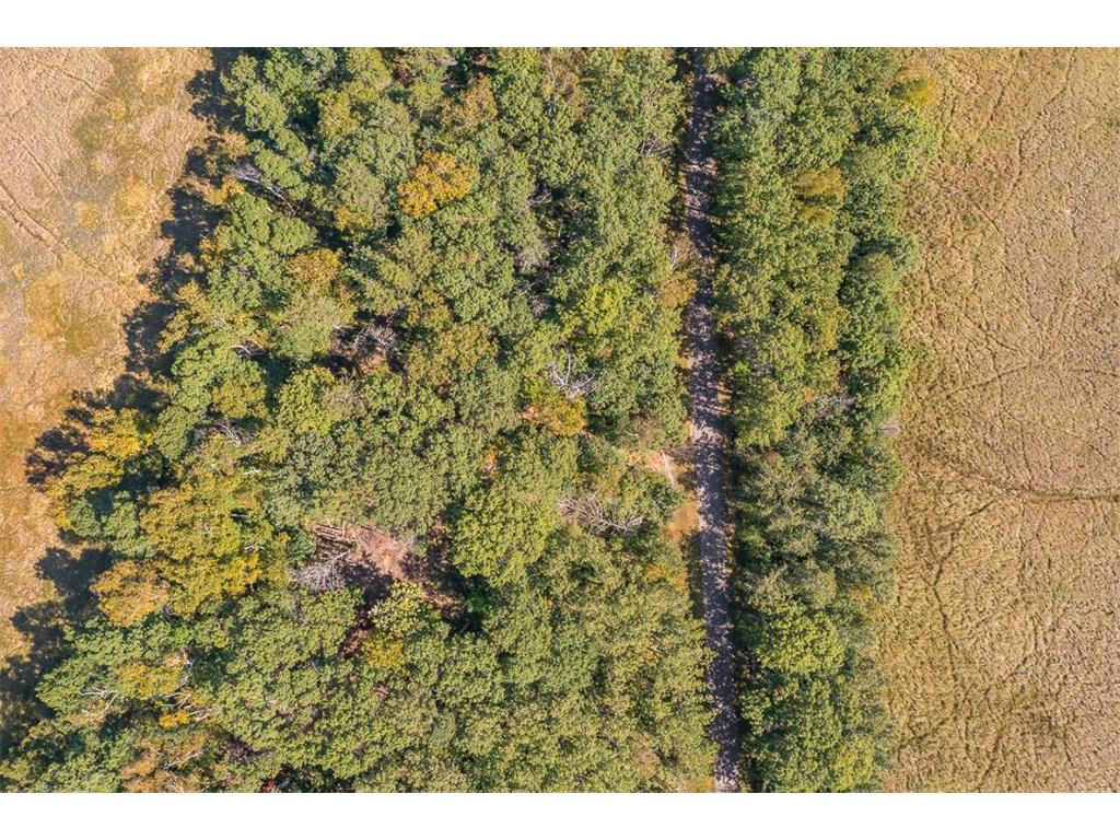 Tract D TBD Little Pine Road Sylvan Twp MN 56401 7057471 image2
