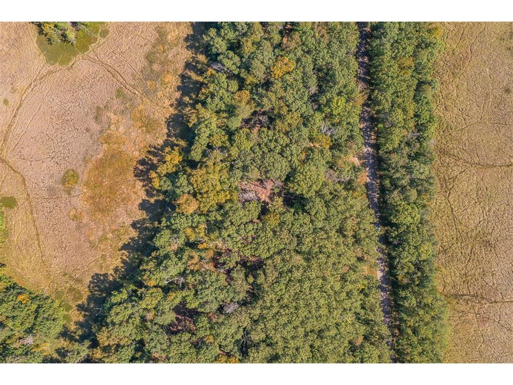 Tract D TBD Little Pine Road Sylvan Twp MN 56401 7057471 image20