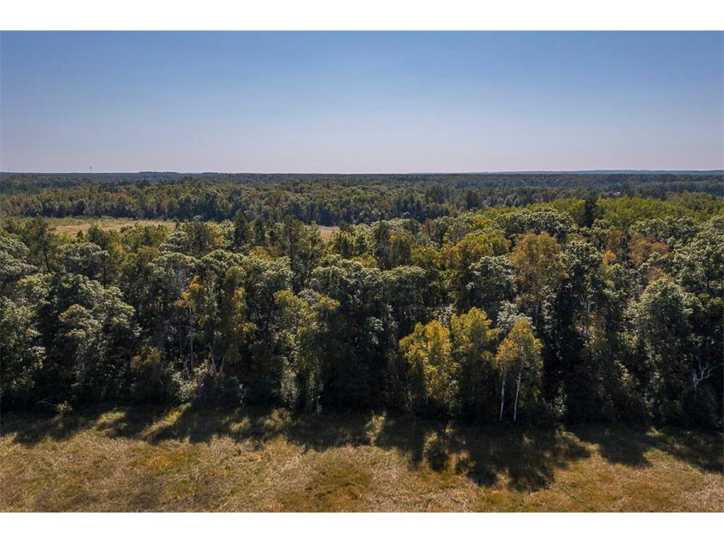 Tract D TBD Little Pine Road Sylvan Twp MN 56401 7057471 image21