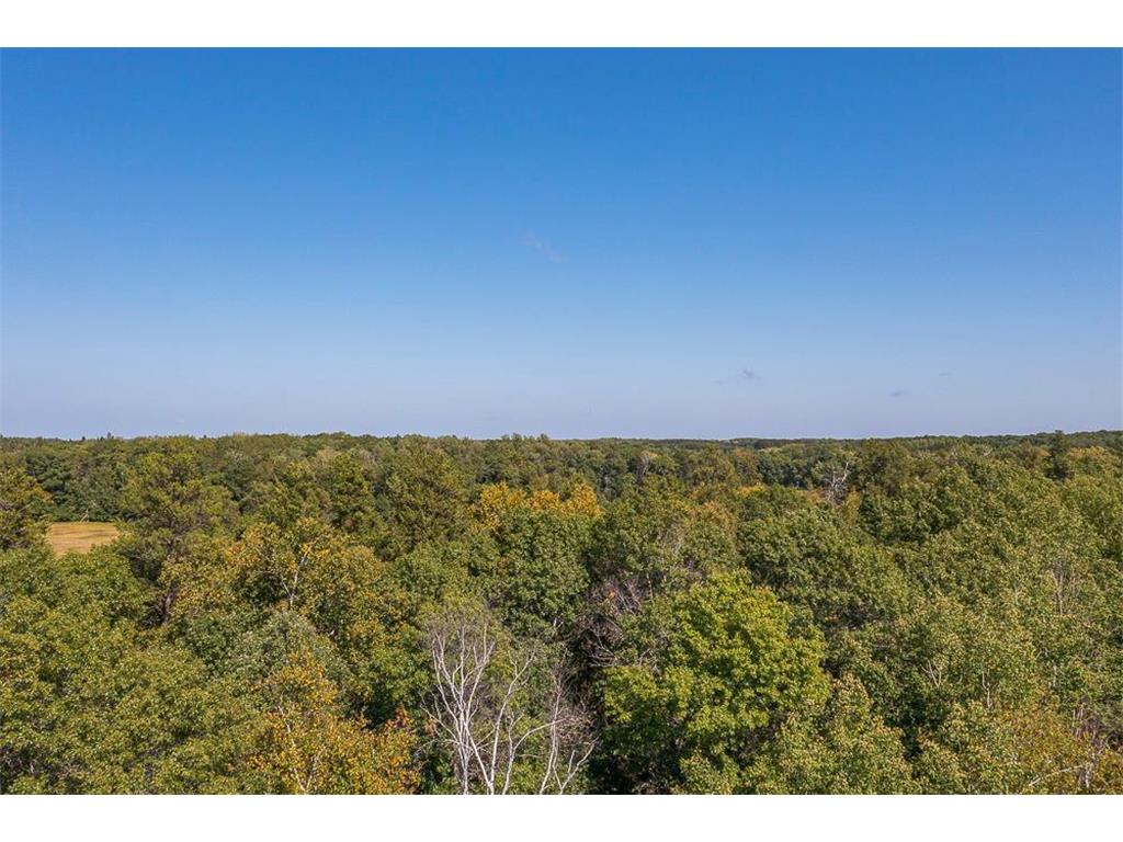 Tract D TBD Little Pine Road Sylvan Twp MN 56401 7057471 image26