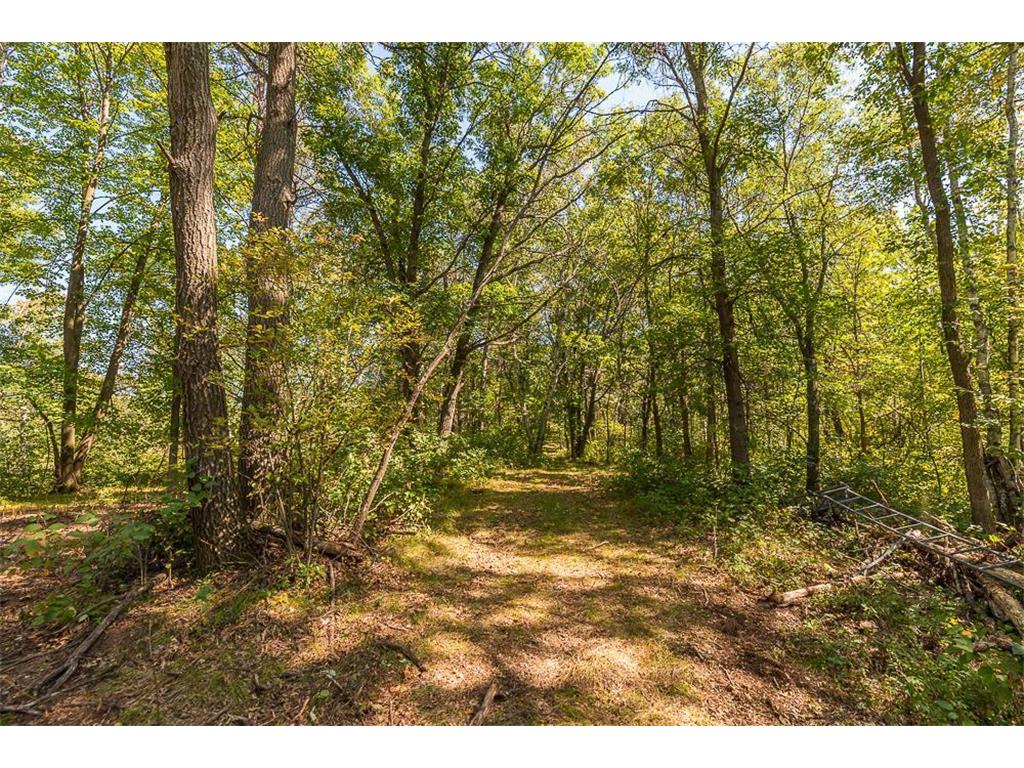Tract D TBD Little Pine Road Sylvan Twp MN 56401 7057471 image9