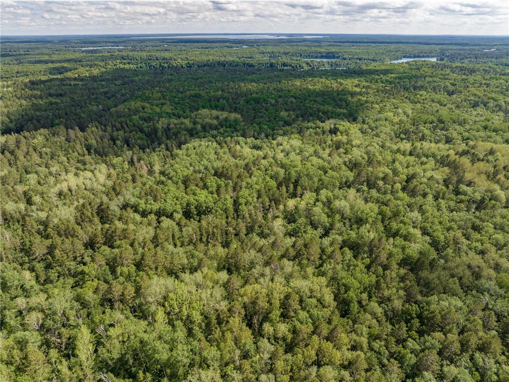 Tract D TBD Pine Terrace Road Crosslake MN 56442 6623142 image1