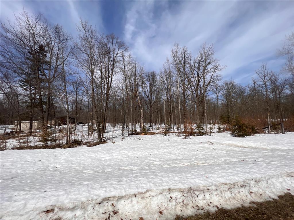 Tract E 393rd Street Lakeport Twp MN 56461 6354077 image1