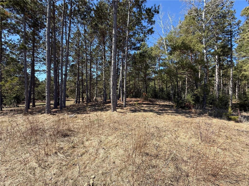 Tract E County 18 Park Rapids MN 56470 7056412 image8