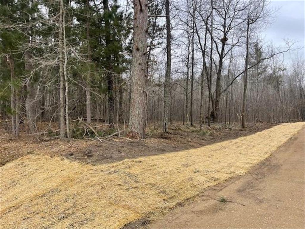 Tract F County Road 11 Crosby MN 56441 6705370 image1