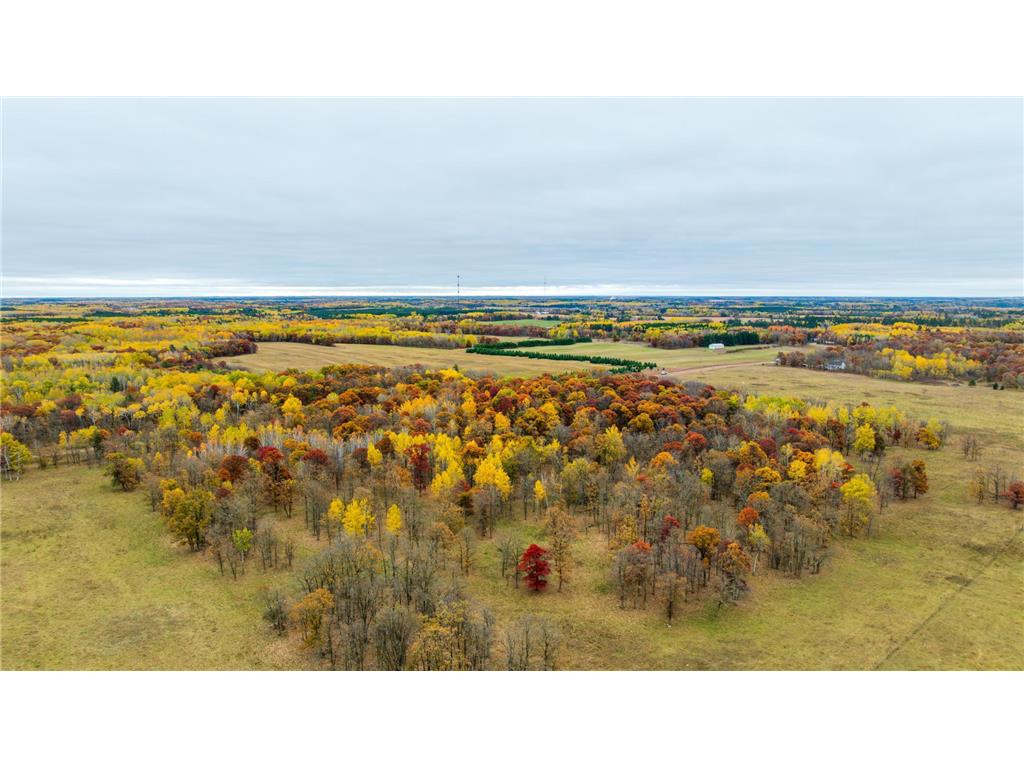 Tract I 175th Avenue Park Rapids MN 56470 7056415 image3