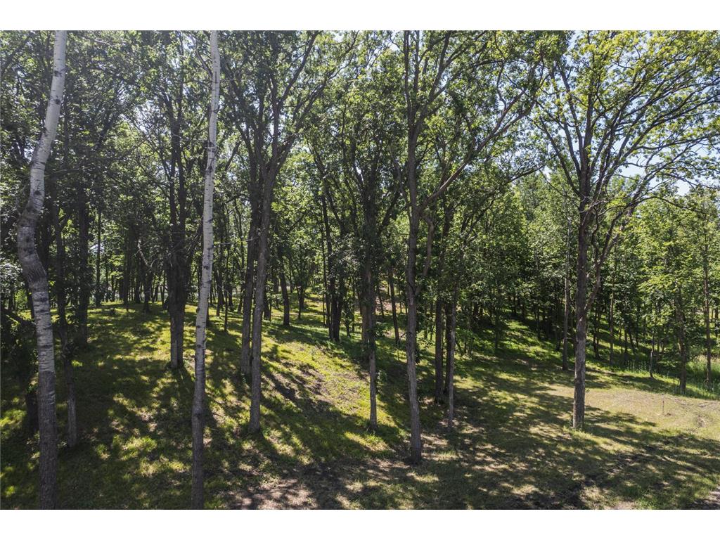 Tract I Blybergs Lane Pelican Rapids MN 56572 - Fish Lake 6609702 image34