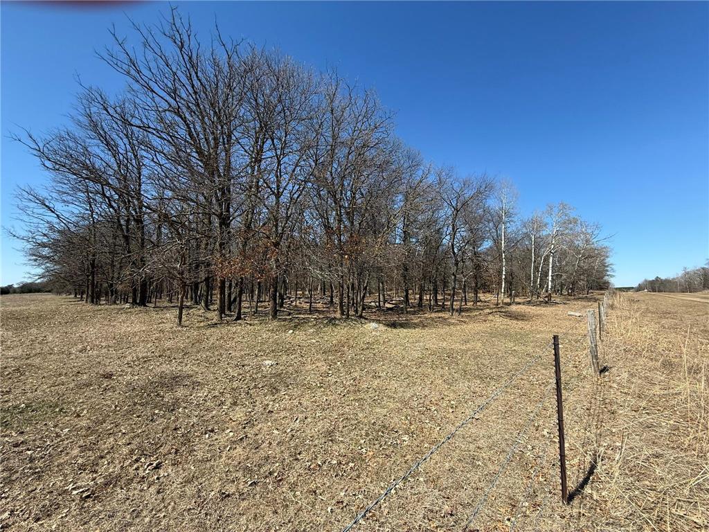 Tract J 175th Avenue Park Rapids MN 56470 7056416 image2