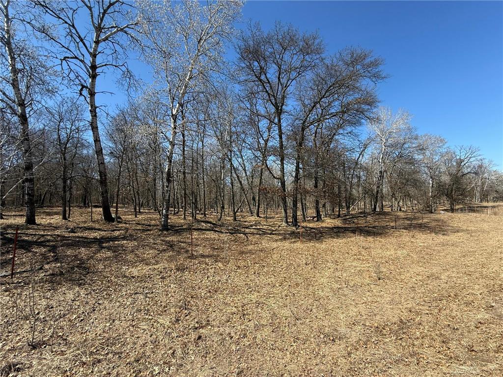 Tract J 175th Avenue Park Rapids MN 56470 7056416 image3