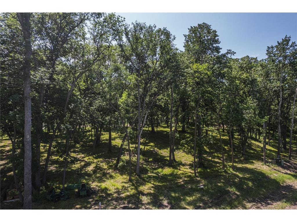 Tract L Blybergs Lane Pelican Rapids MN 56572 - Fish Lake 6609774 image45