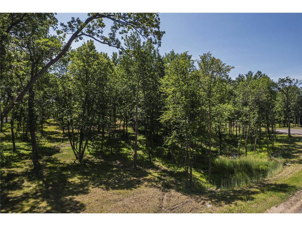Tract N Blybergs Lane Pelican Rapids MN 56572 - Fish Lake 6609780 image30