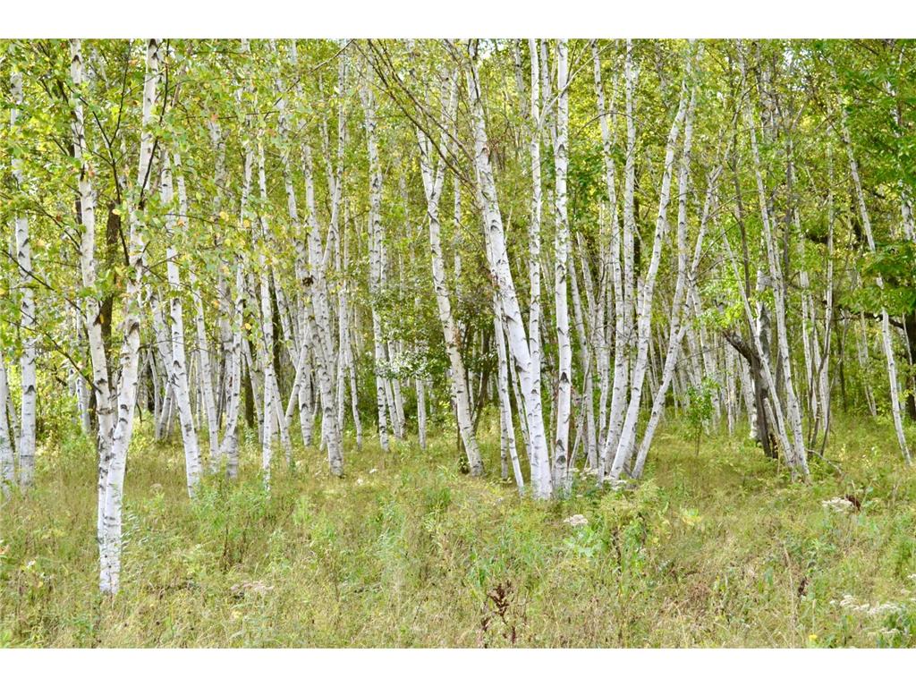 Unassigned 140th Avenue Milaca MN 56353 6527814 image1