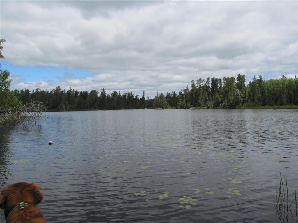 Unit 1 N Kelly Trail Isabella MN 55731 - Birch Lake 6416944 image28