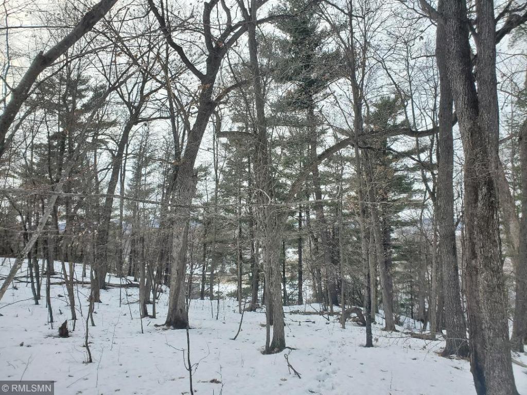 Unit 3 XXX 297TH Street, Eau Galle, WI, 54737 MLS 6193438 Edina Realty