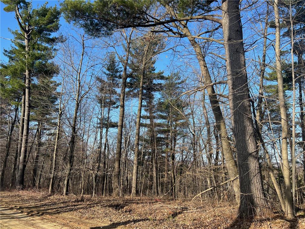 Unit 6 297th Street Eau Galle WI 54737 - Lake Eau Galle 6352427 image1