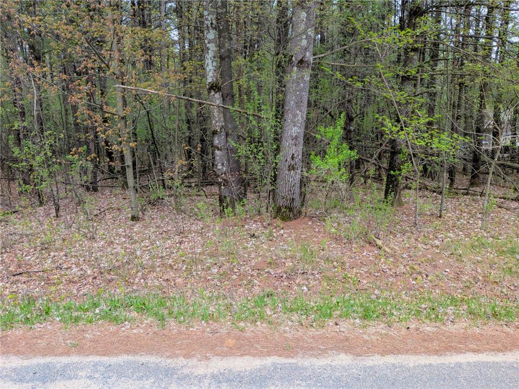 Vacant Lot 540th Street Tainter Twp WI 54751 7068642 image1