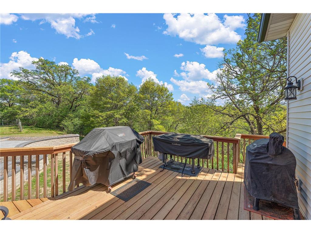 W10415 521st Avenue Prescott WI 54021 7020750 image66