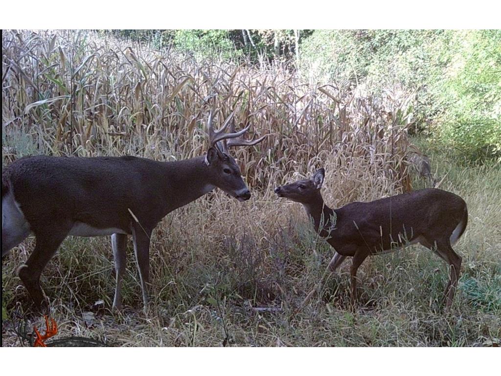 W10415 521st Avenue Prescott WI 54021 7020750 image76