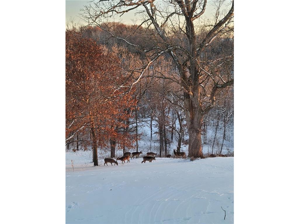 W10415 521st Avenue Prescott WI 54021 7020750 image77