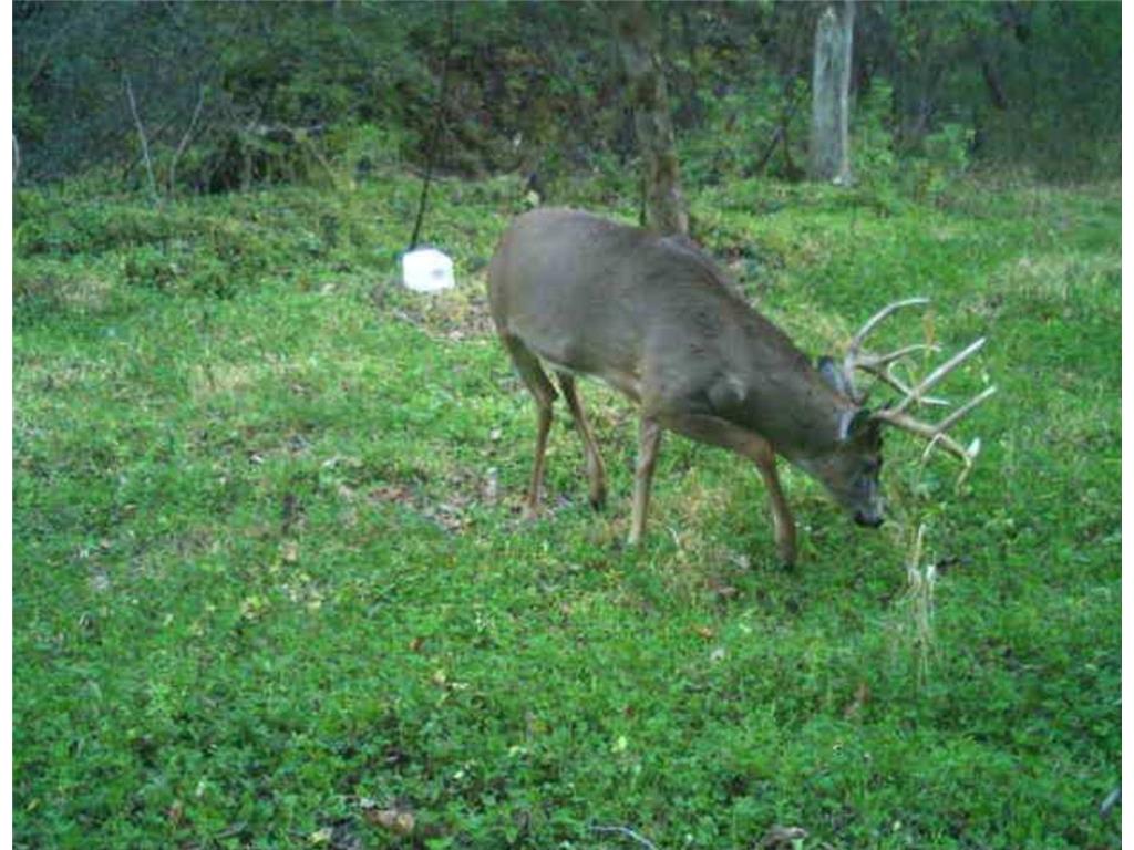 W10415 521st Avenue Prescott WI 54021 7020750 image78