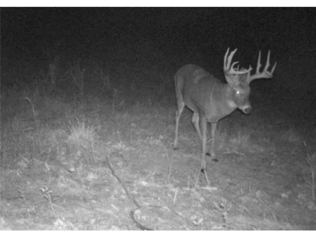 W10415 521st Avenue Prescott WI 54021 7020750 image79