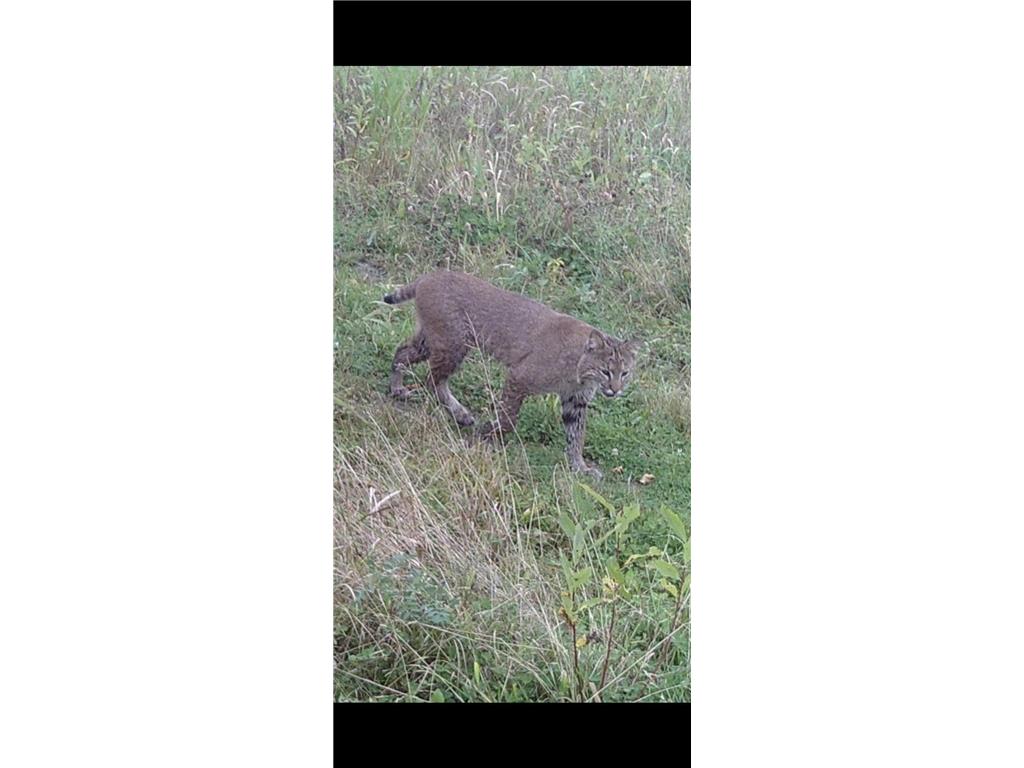 W10415 521st Avenue Prescott WI 54021 7020750 image81